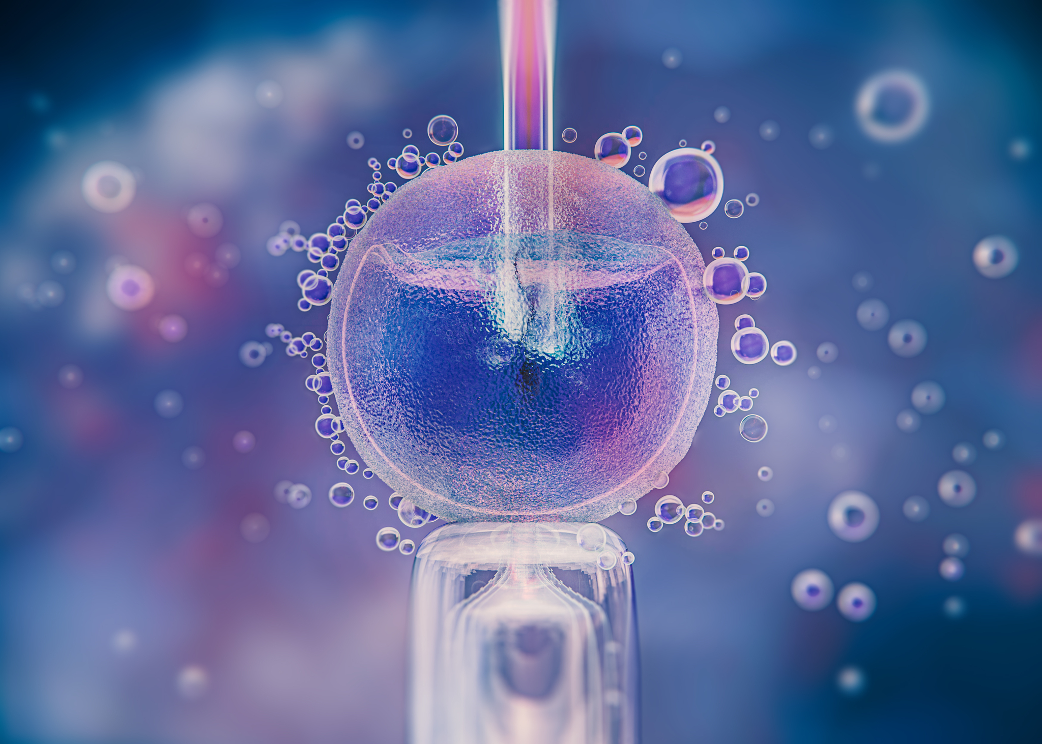 In-vitro-Fertilisation