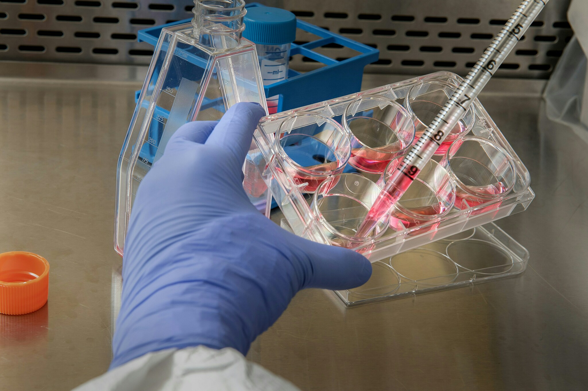 Laboratory Cell Culture