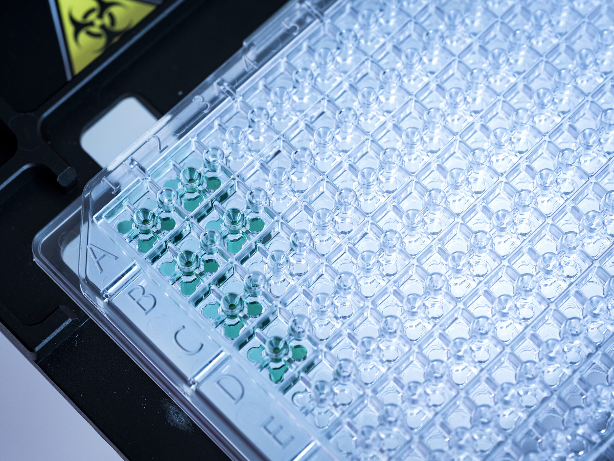 SpecPlate vs Greiner UV-Star – 96-Well COC Mikroplatte mit geschlossenen Messkammern ohne Meniskusfehler